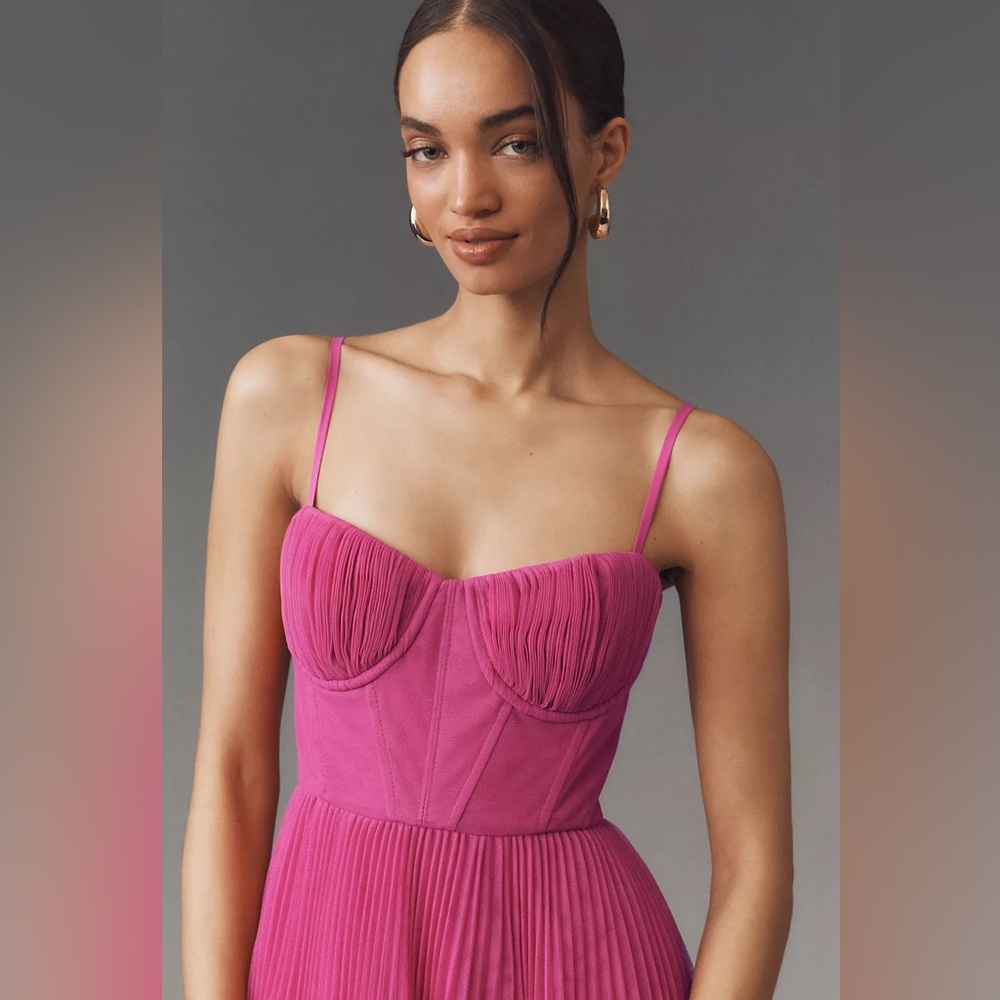 Hutch Amara Pink Corset Midi Dress (New in polybag)